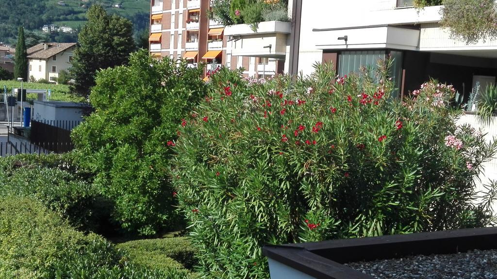 Camere Bolzano Da Glauco Dış mekan fotoğraf